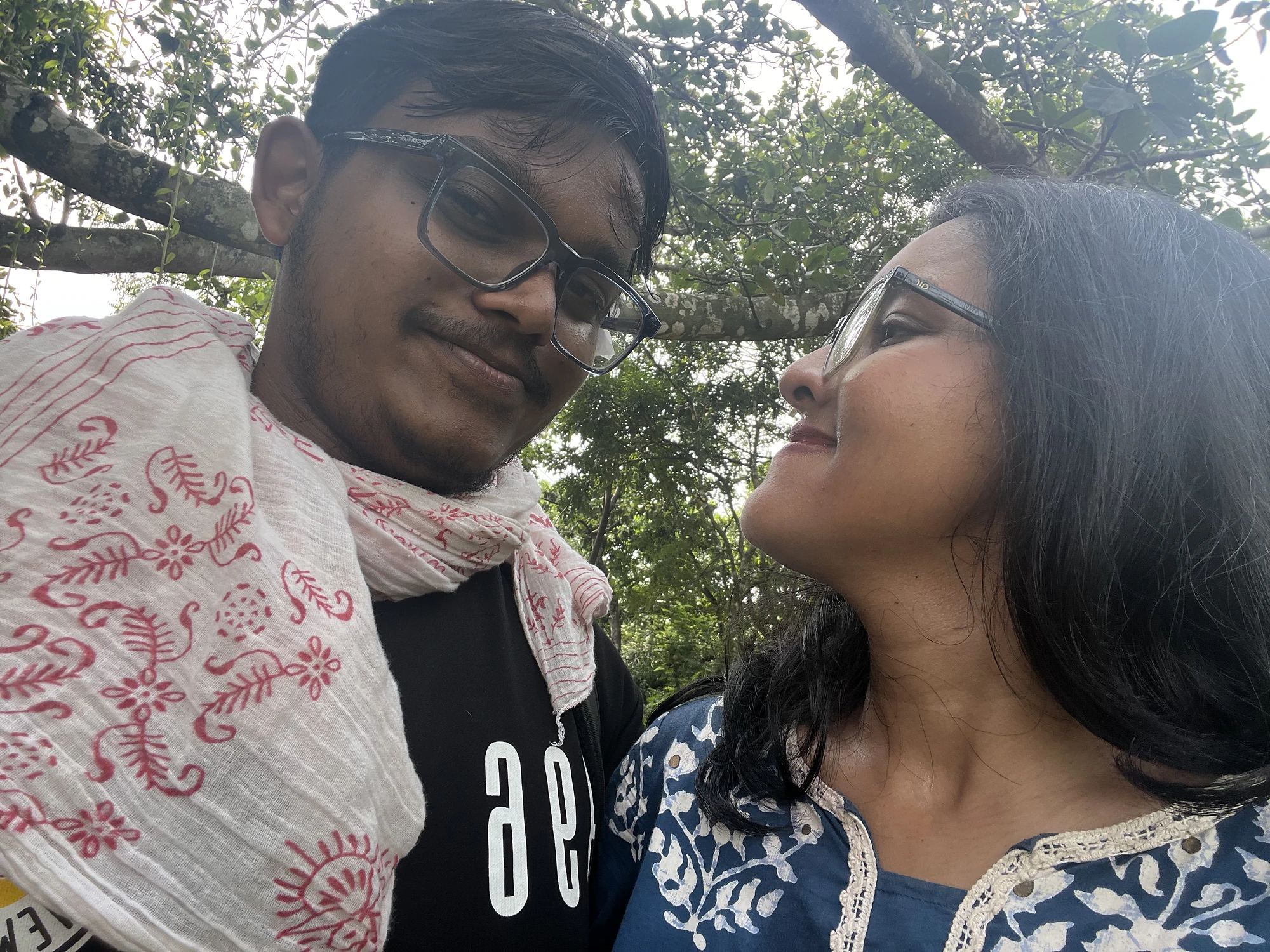 Looking at each other under the trees